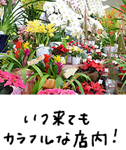 いつ来てもカラフルな店内!