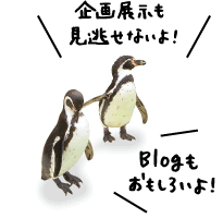 ペンギン：企画展示も見逃せないよ！ブログも面白いよ！