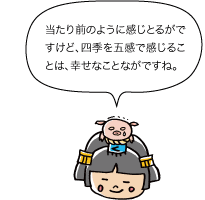 市姫：当たり前のように感じとるがですけど、四季を五感で感じることは、幸せなことながですね。