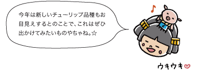 今年は新しいチューリップ品種もお目見えするとのことで、これはぜひ出かけてみたいものやちゃね☆