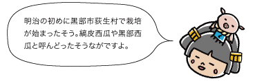 市姫：明治の初めに黒部市荻生村で栽培が始まったそう。縞皮西瓜や黒部西瓜と呼んどったそうながですよ。