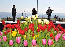 にゅうぜんフラワーロードのイベント風景