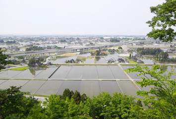 宮野山から見下ろす黒部市