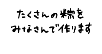 たくさんの粽をみなさんで作ります。