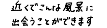 近くでこんな風景に出会うことができます。