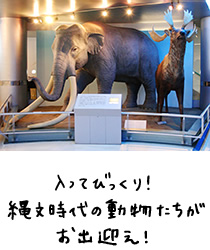 入ってびっくり！縄文時代の動物たちがお出迎え！