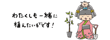 姫も一緒に植えたいそうです。