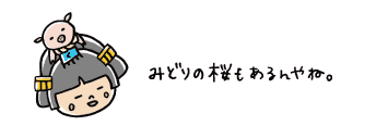 みどりの桜もあるんやね。