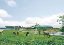 くろべ牧場の風景