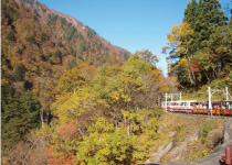 オープン車両からの眺め