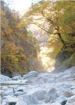 河原の湯けむり