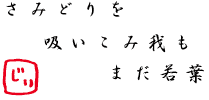 さみどりを　吸いこみ我も　まだ若葉