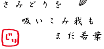 さみどりを 吸いこみ我も まだ若葉