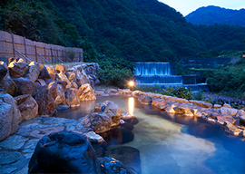 小川温泉元湯　ホテルおがわ