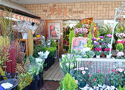 黒部のお花屋さん　花水木